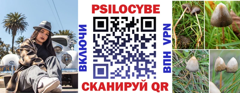 Псилоцибиновые грибы мицелий  наркота  Пойковский 